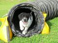 xtreme tunnel.JPG